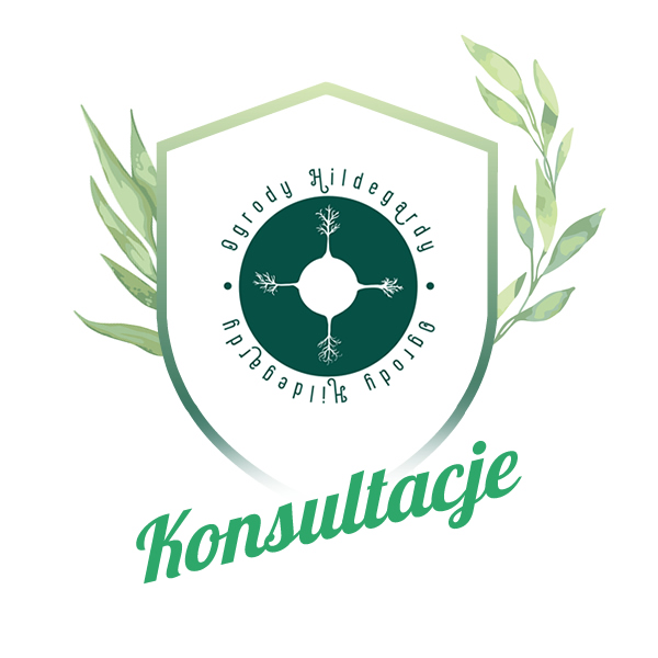 Konsultacja z certyfikowanymi doradcami z zakresu żywienia i diety Św. Hildegardy Konsultacja z certyfikowanymi doradcami z zakresu żywienia i diety Św. Hildegardy
