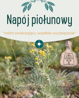 Św. Hildegarda nazywała piołun “mistrzem zwalczającym wszelkie wyczerpanie” i mówiła, że jest ziołem “bardzo gorącym i niezwykle ...