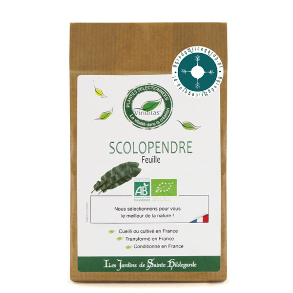 Przyprawy i zioła - Języcznik liście 40g Bio*, 40080